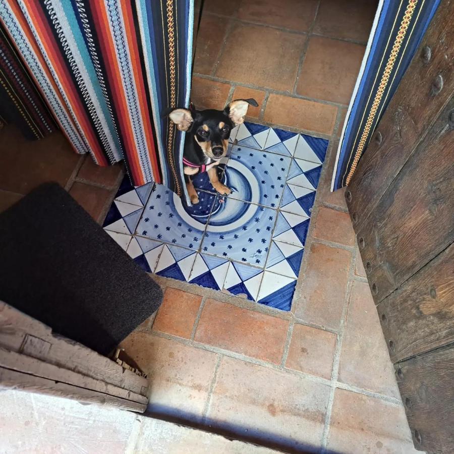 Can Lluna Tu Casa Zen Tárbena Dış mekan fotoğraf