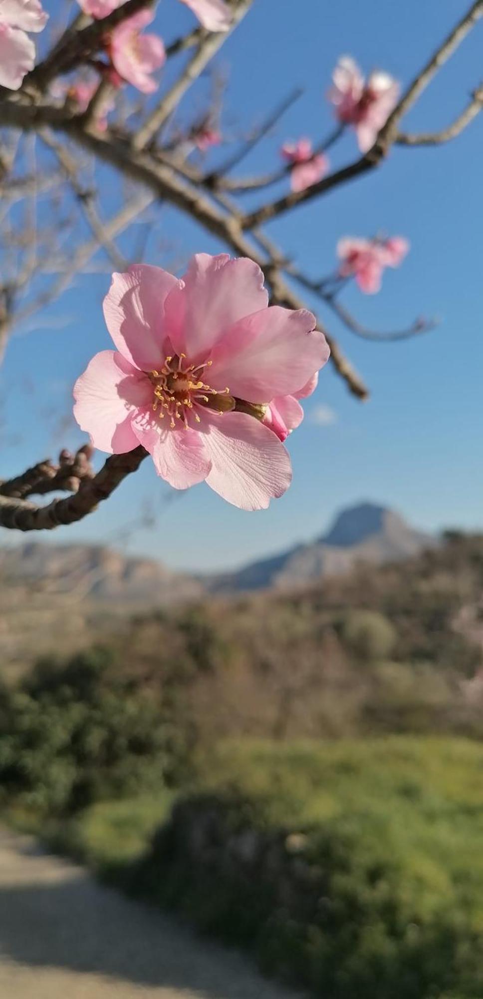 Can Lluna Tu Casa Zen Tárbena Dış mekan fotoğraf